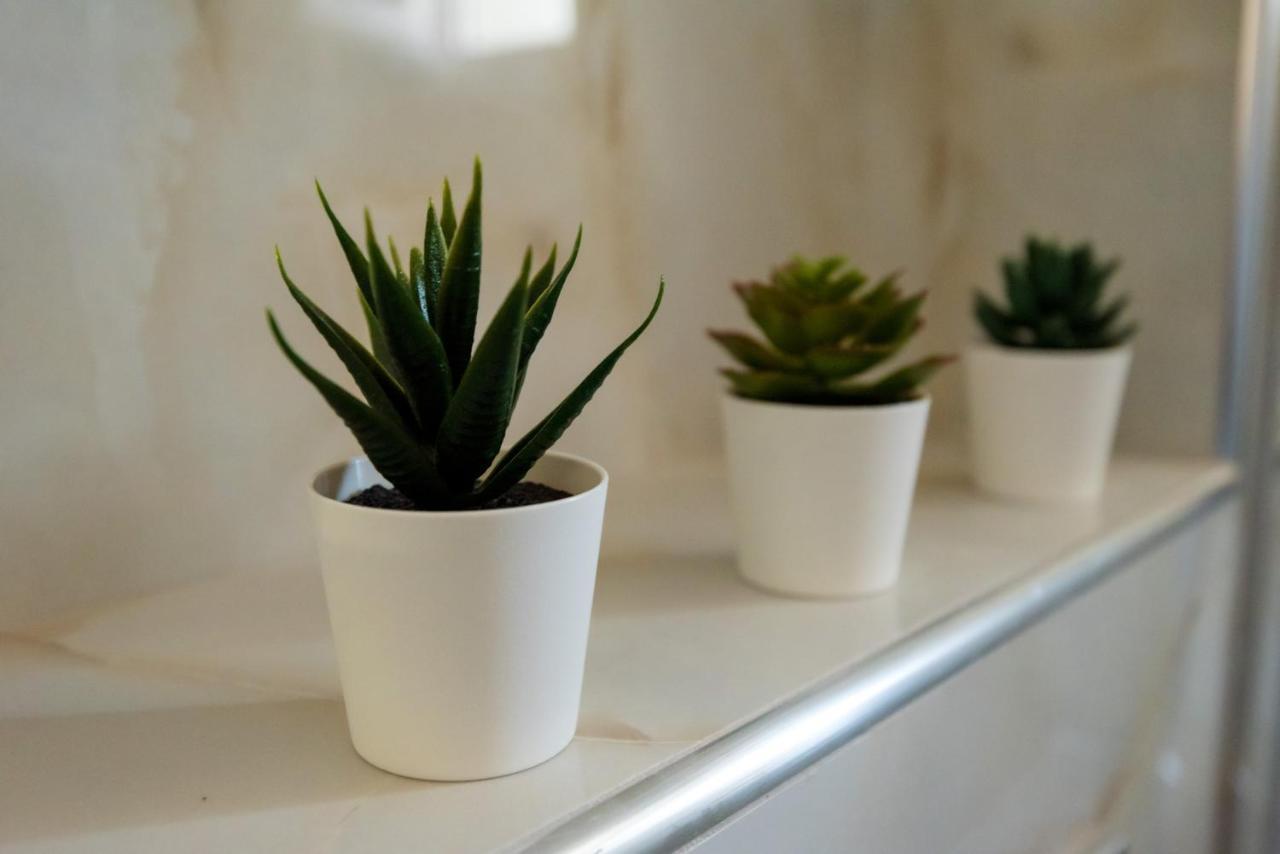 Apartmán Olive 102 Peraía Exteriér fotografie